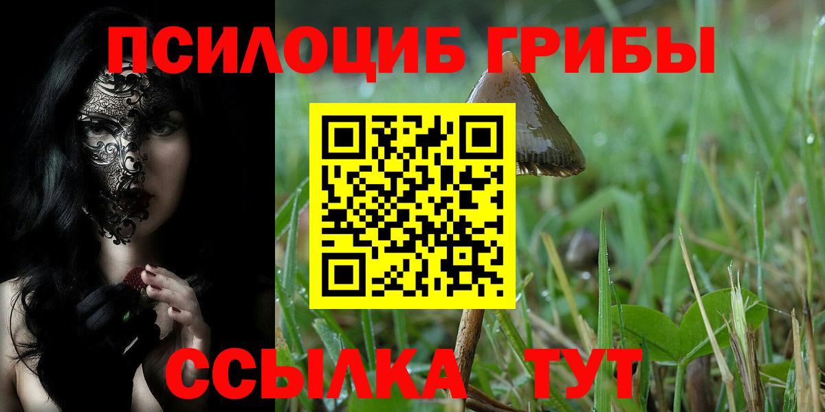 Галлюциногенные грибы мицелий Южно-Сахалинск