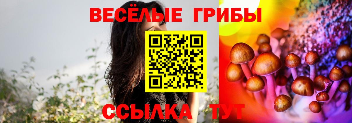 Южно-Сахалинск  Галлюциногенные грибы ЛСД  Псилоцибиновые грибы прущие грибы  Вход с VPN 